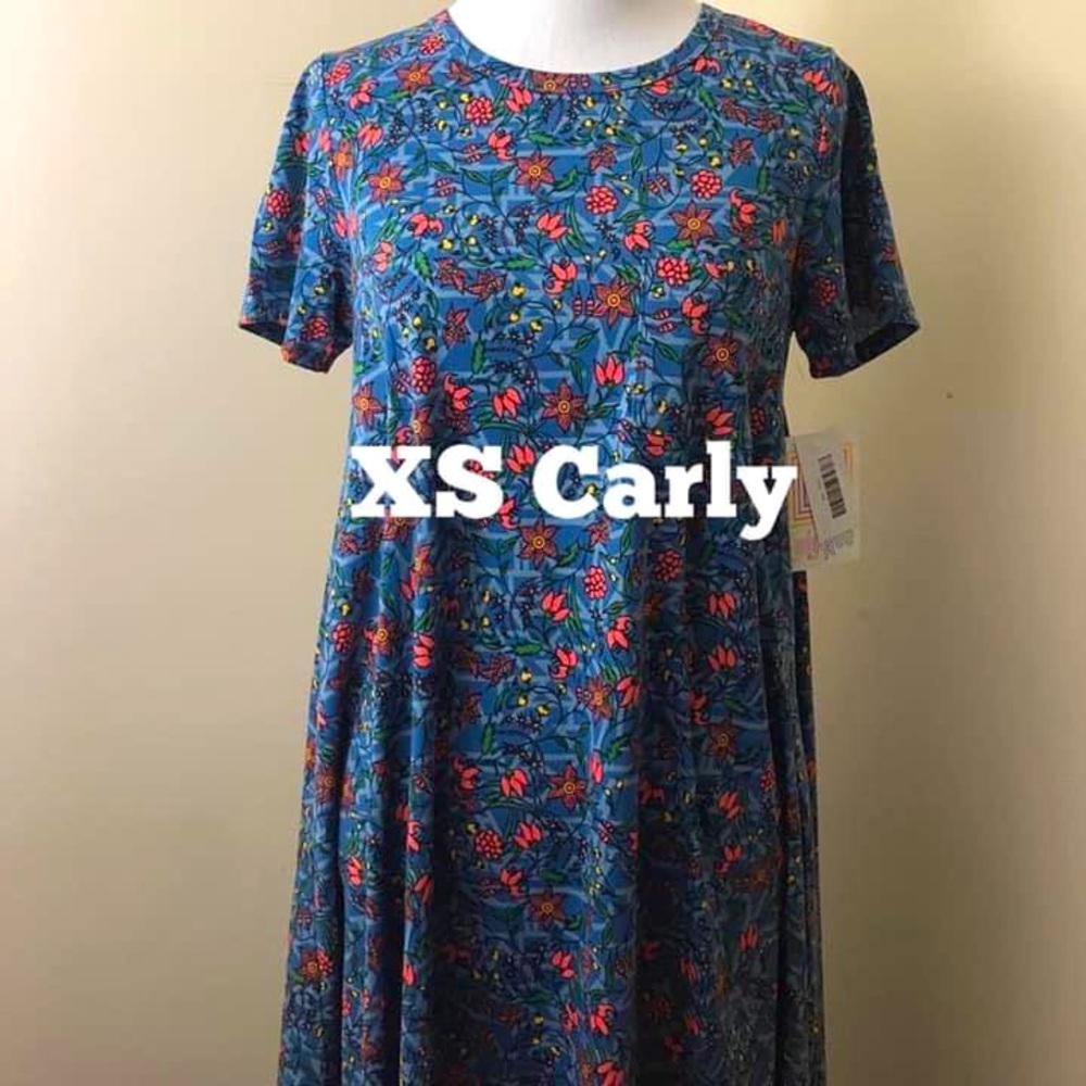 NWT XS LuLaRoe Carly dress